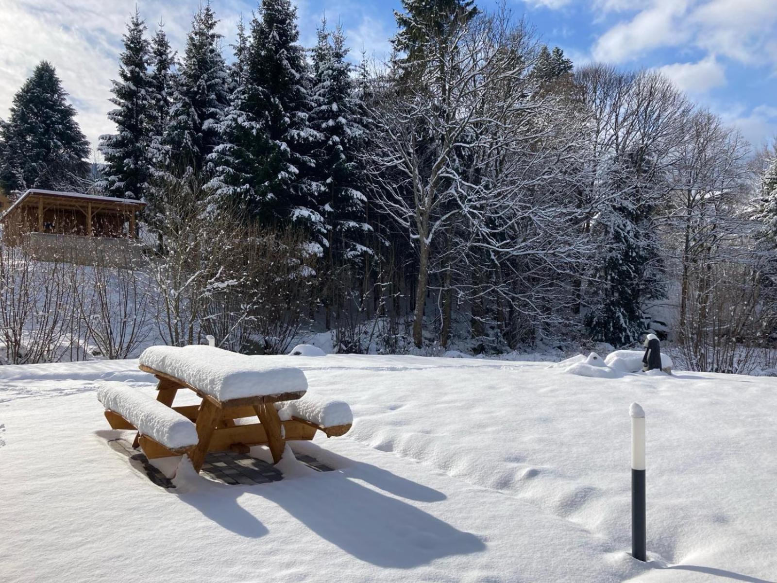 La cabane des écureuils Xonrupt-Longemer Esterno foto
